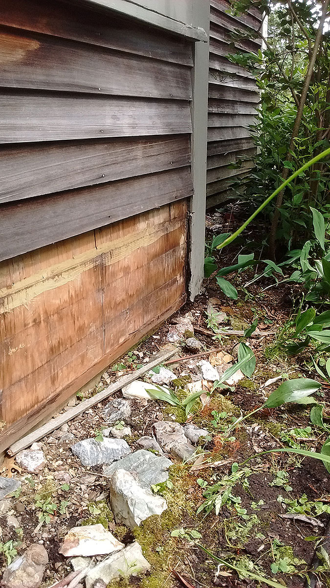 Repaired rotten wood